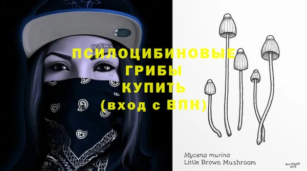 ALPHA-PVP Аркадак
