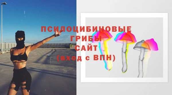 трава Армянск