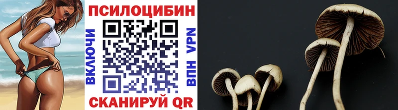 ОМГ ОМГ ТОР  Семёнов  Галлюциногенные грибы прущие грибы 